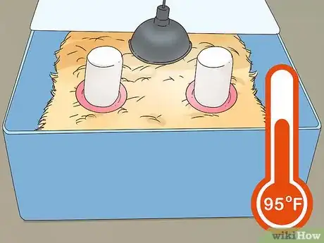 Image titled Raise Quail for Eggs Step 10