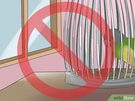 Image titled Care for a Senegal Parrot Step 3