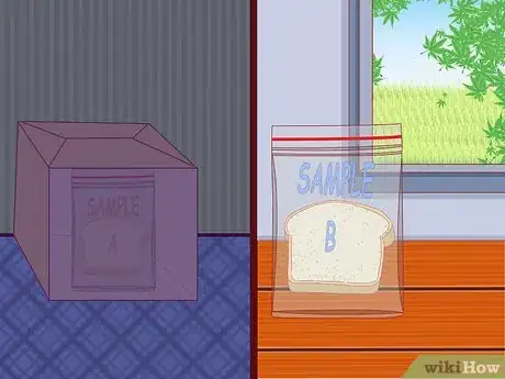 Image titled Make Mold Grow on Bread Step 9