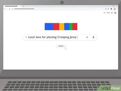 Image titled Care for Creeping Jenny Step 1