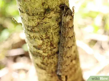 Image titled Choose a Home Step 10