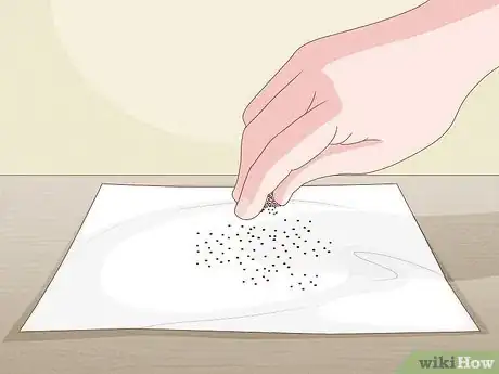 Image titled Grow Rainbow Eucalyptus Step 2