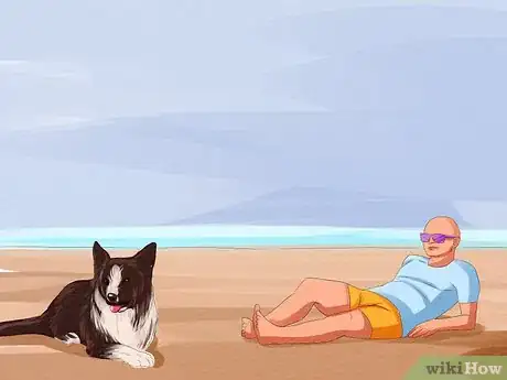 Image titled Take Your Dog to the Beach Step 11