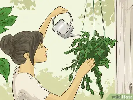 Image titled Choose Outdoor Hanging Plants Step 4