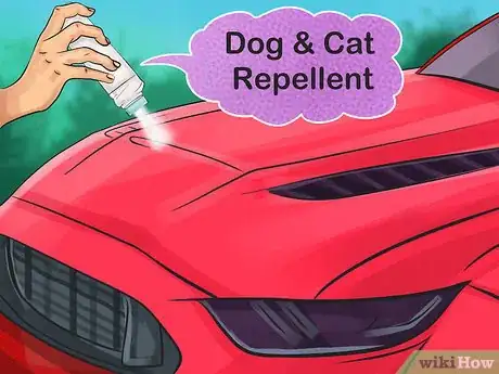 Image titled Keep Cats Off Cars Step 2