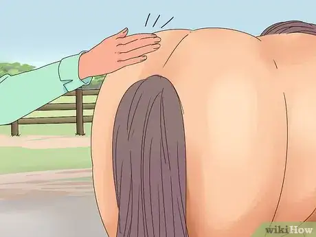 Image titled Teach a Horse to Bow Properly Step 11