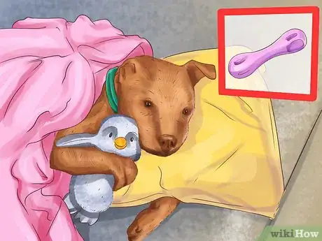 Image titled Buy Dog Care Products Step 3