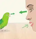 Interact with Your Parrotlet