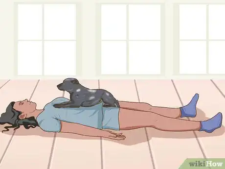 Image titled Do Yoga with Your Dog Step 8
