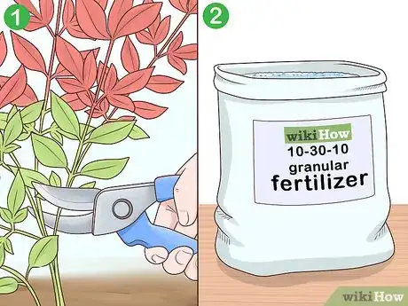 Image titled Prune Nandinas Step 9