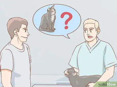 Image titled Get a Veterinary Second Opinion for Your Cat Step 5