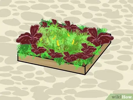Image titled Design a Potager Garden Step 16
