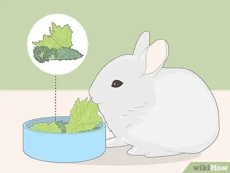 Image titled Feed Pets when You Can't Find Pet Food Step 4