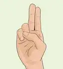 Do Vowels in Sign Language