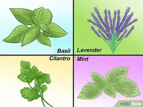 Image titled Design a Potager Garden Step 10