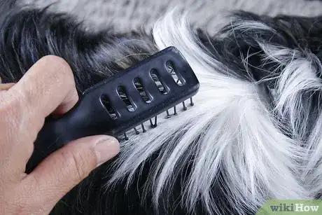 Image titled Maintain a Pet's Hair Step 1