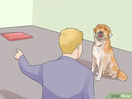 Image titled Introduce Your New Dog to the Neighbors Step 2