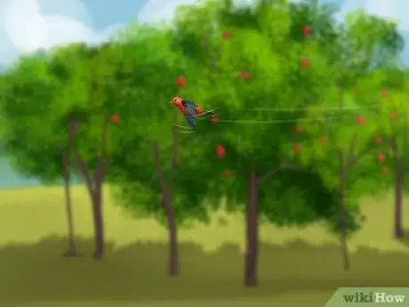 Image titled Identify a Scarlet Tanager Step 6
