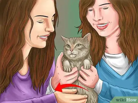 Image titled Find Safe Placement for Your Cat After Foreclosure Step 4