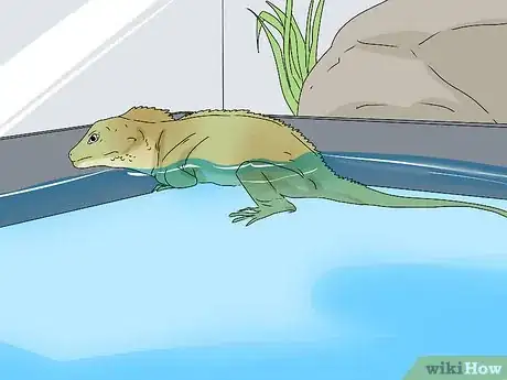 Image titled Give a Lizard a Bath Step 4