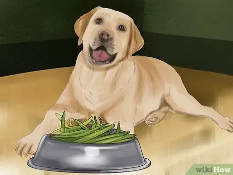 Image titled Feed Your Senior Dog a Healthy Diet Step 6
