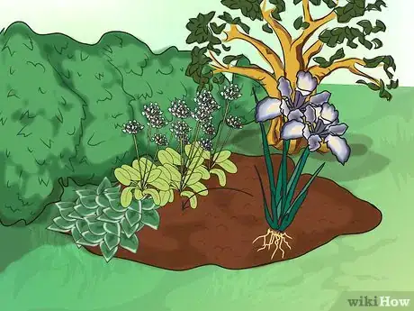 Image titled Make a Bog Garden Step 6Bullet3