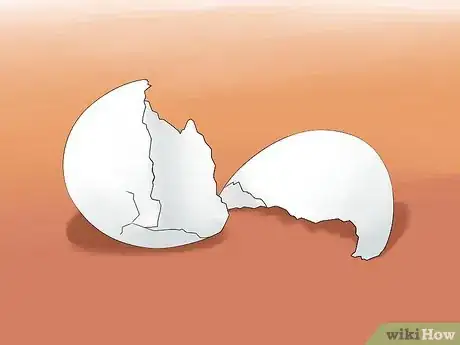 Image titled Fertilize Soil With Eggshells Step 1