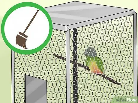 Image titled Care for a Senegal Parrot Step 5