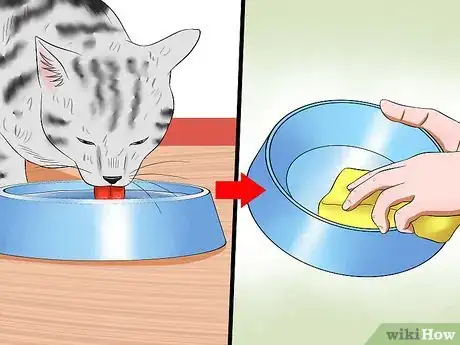 Image titled Care for American Shorthair Cats Step 8