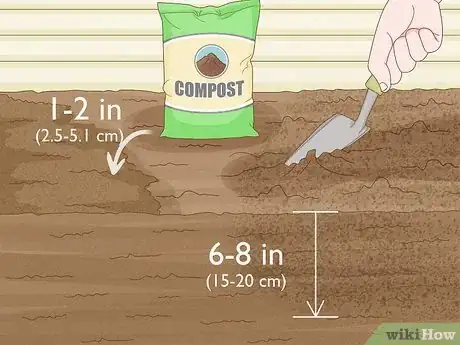 Image titled Grow Giant Calla Lily Step 7