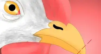 Keep Chickens from Eating Their Own Eggs