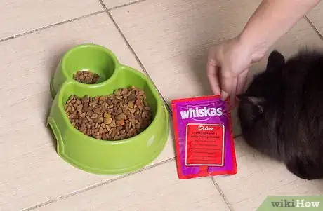 Image titled Test Your Cat's Intelligence Step 3