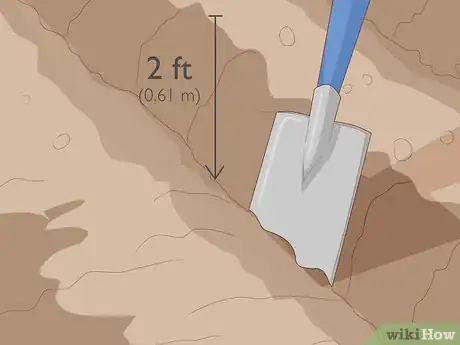 Image titled Grow Runner Beans Step 7