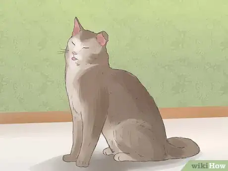 Image titled Diagnose a Cat Cough Step 21