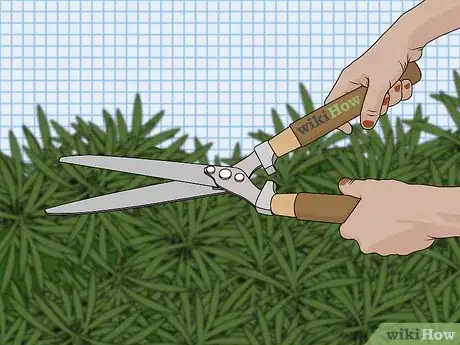 Image titled Design a Waterfront Garden Step 13