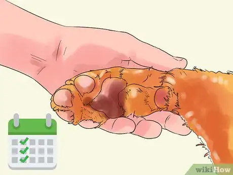 Image titled Protect Dog Paws Step 14