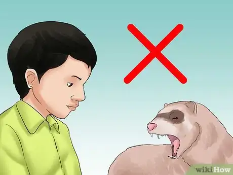 Image titled Decide if a Ferret Is the Right Pet for You Step 6