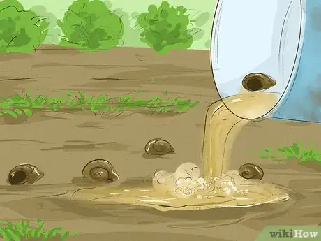Image titled Get Rid of Garden Snails Step 18