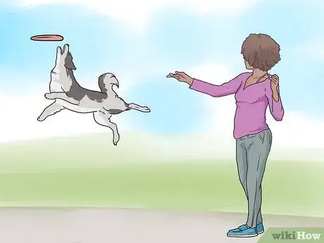 Image titled Keep Your Dog from Being Bored Step 4