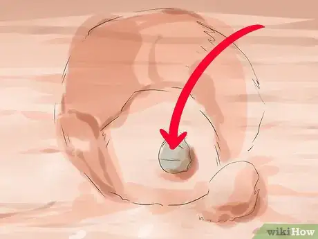 Image titled Dig Pacific Razor Clams Step 12