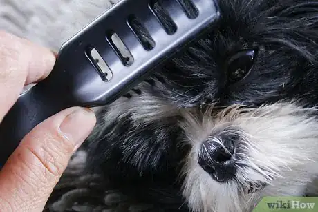 Image titled Maintain a Pet's Hair Step 2