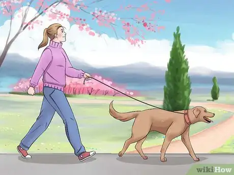 Image titled Tame a Dog Step 14