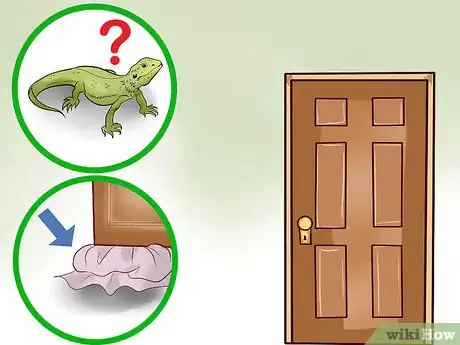Image titled Catch a Lizard in the House Step 1