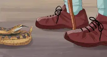 Prevent Snakebites While Camping