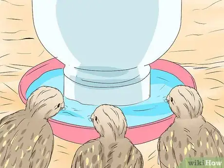 Image titled Raise Quail for Eggs Step 19