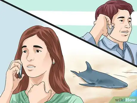 Image titled Care for a Beached Animal Step 1