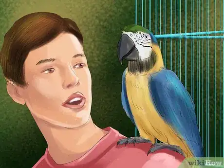 Image titled Select a Pet Parrot Step 10