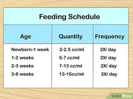 Image titled Care for a Baby Wild Rabbit Step 8