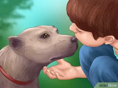 Image titled Keep a Pitbull Step 6