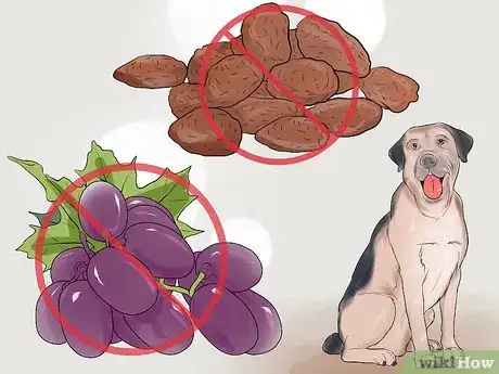 Image titled Avoid Foods Dangerous for Your Dog Step 6